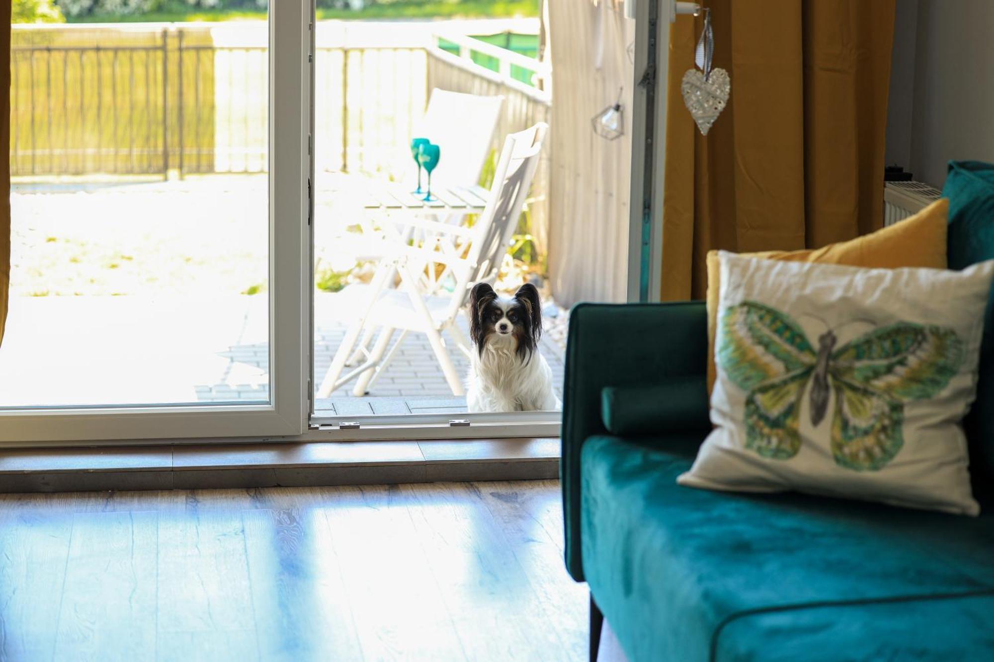 Apartament Komandorski Przy Aquaparku Reda Zewnętrze zdjęcie